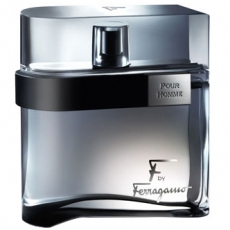 Salvatore Ferragamo F By Ferragamo Black