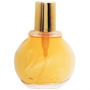 ����������� Vanderbilt
