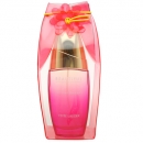 Estee Lauder Beautiful Summer