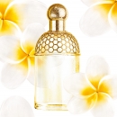 Guerlain Aqua Allegoria Tiare Mimosa