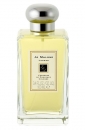 ��� ����� Verbenas Of Provence