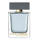 Dolce&Gabbana The One Gentleman