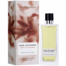 Angel Schlesser Esprit de Gingembre