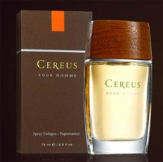 Cereus 7