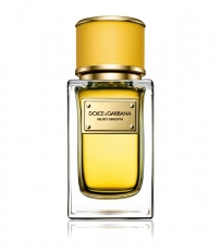 Dolce & Gabbana Velvet Ginestra Dolce & Gabbana Velvet Ginestra