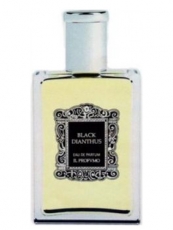 Il Profvmo Black Dianthus Il Profvmo Black Dianthus