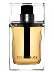 Christian Dior Homme 2011